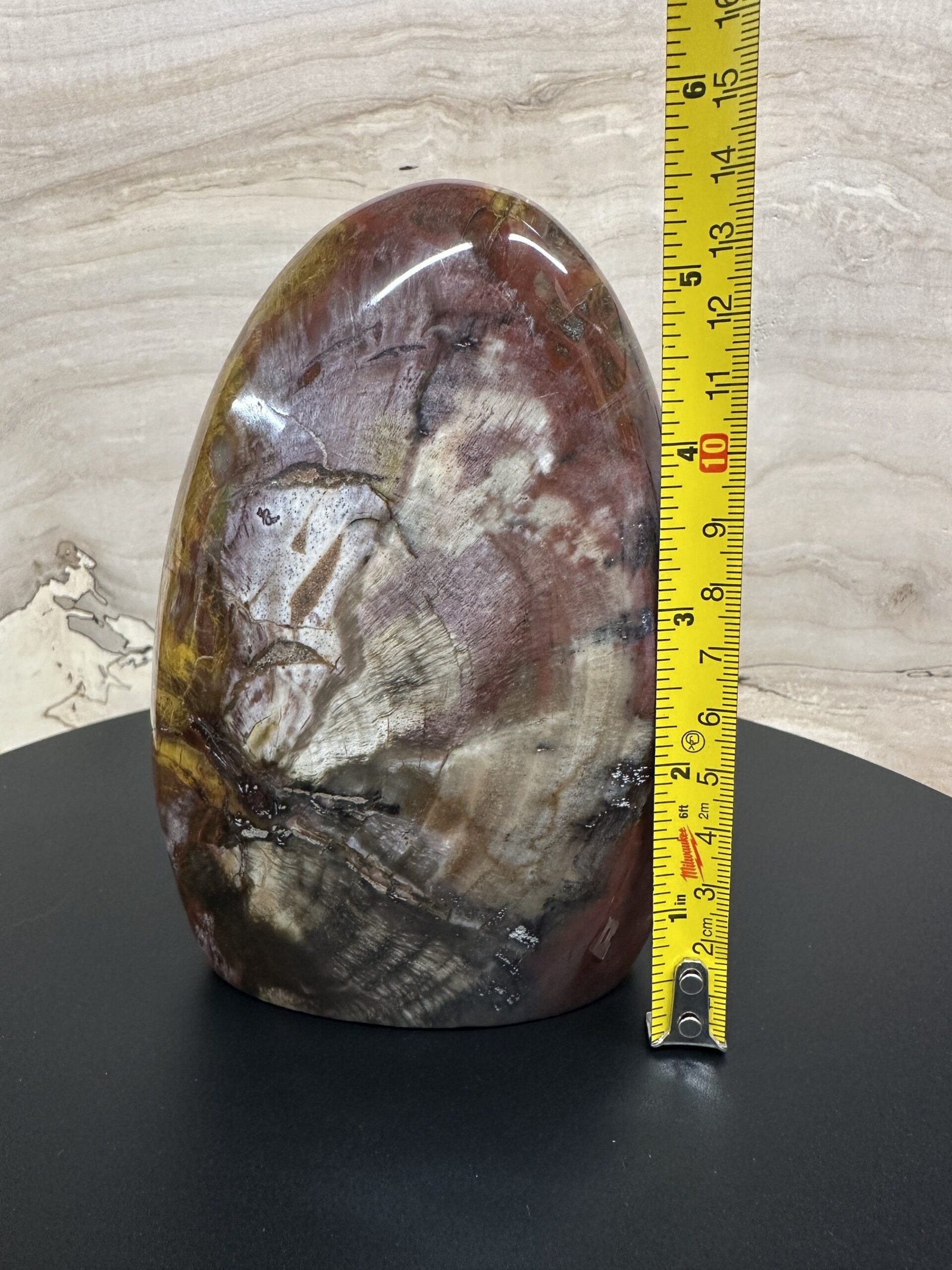 Petrified Wood Freeform - Image 9