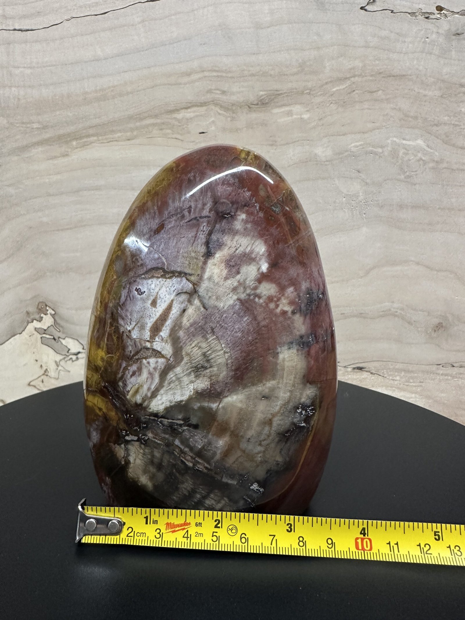 Petrified Wood Freeform - Image 8