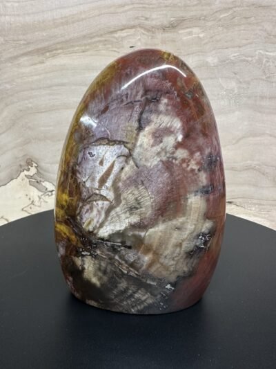 Petrified Wood Freeform
