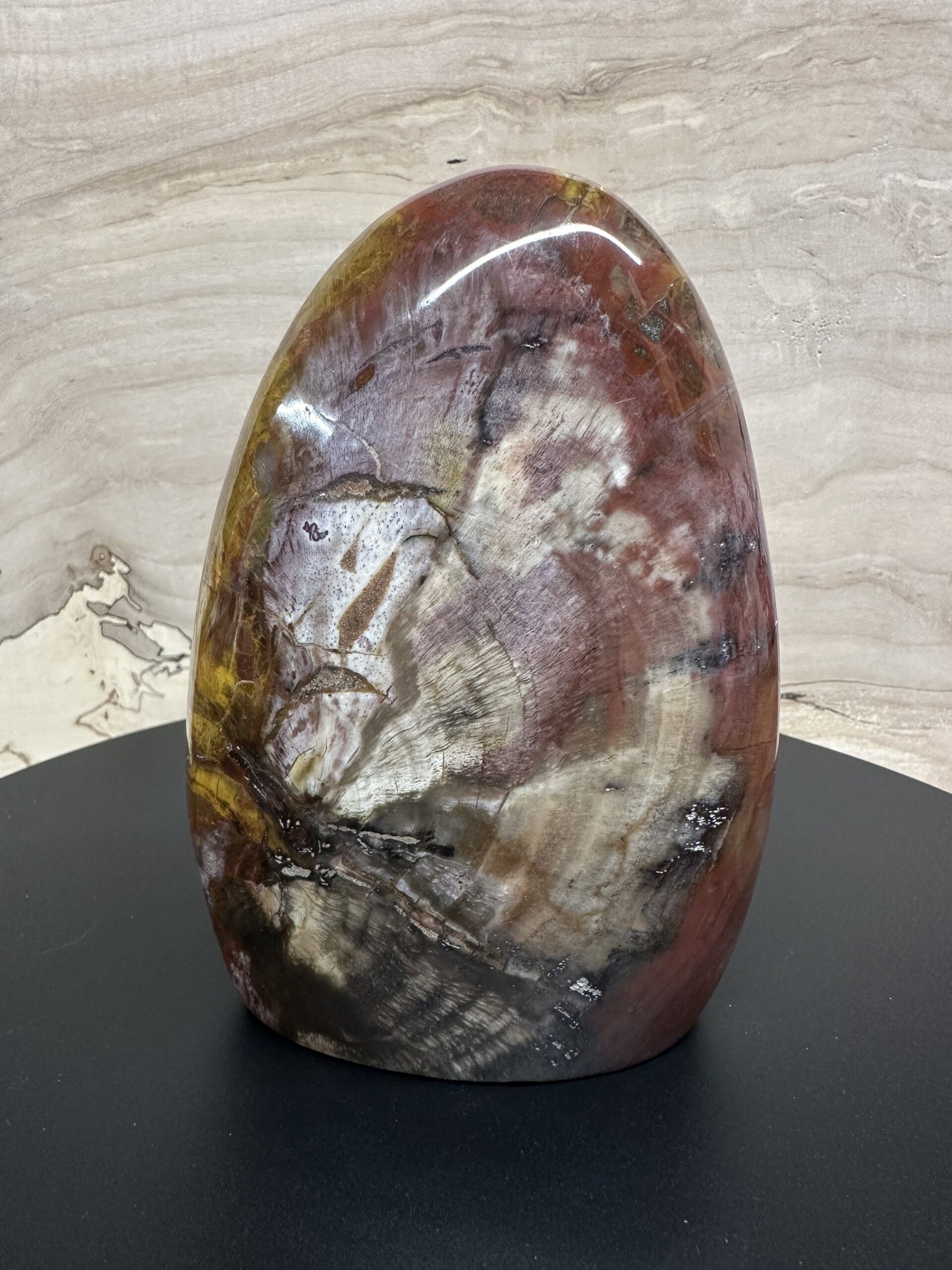 Petrified Wood Freeform
