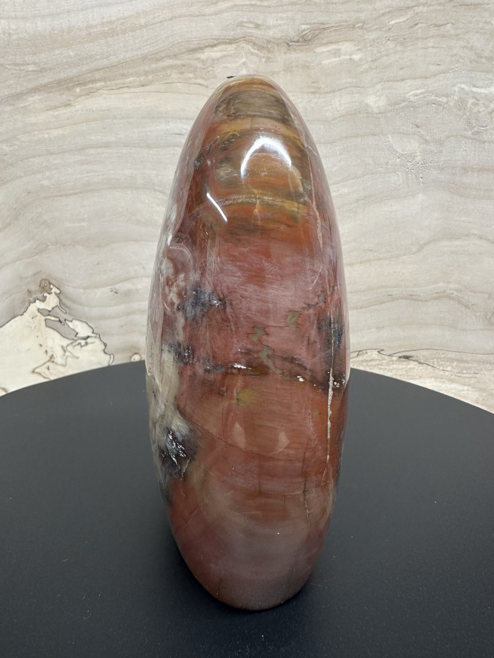 Petrified Wood Freeform - Image 6