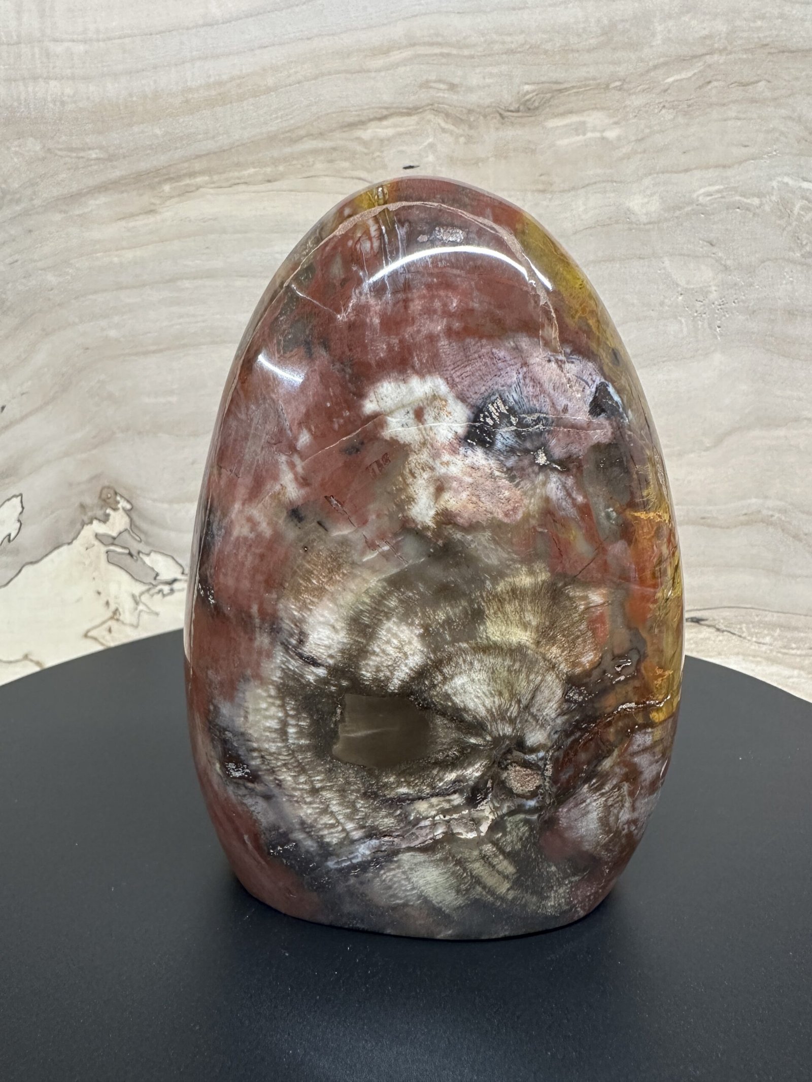 Petrified Wood Freeform - Image 5
