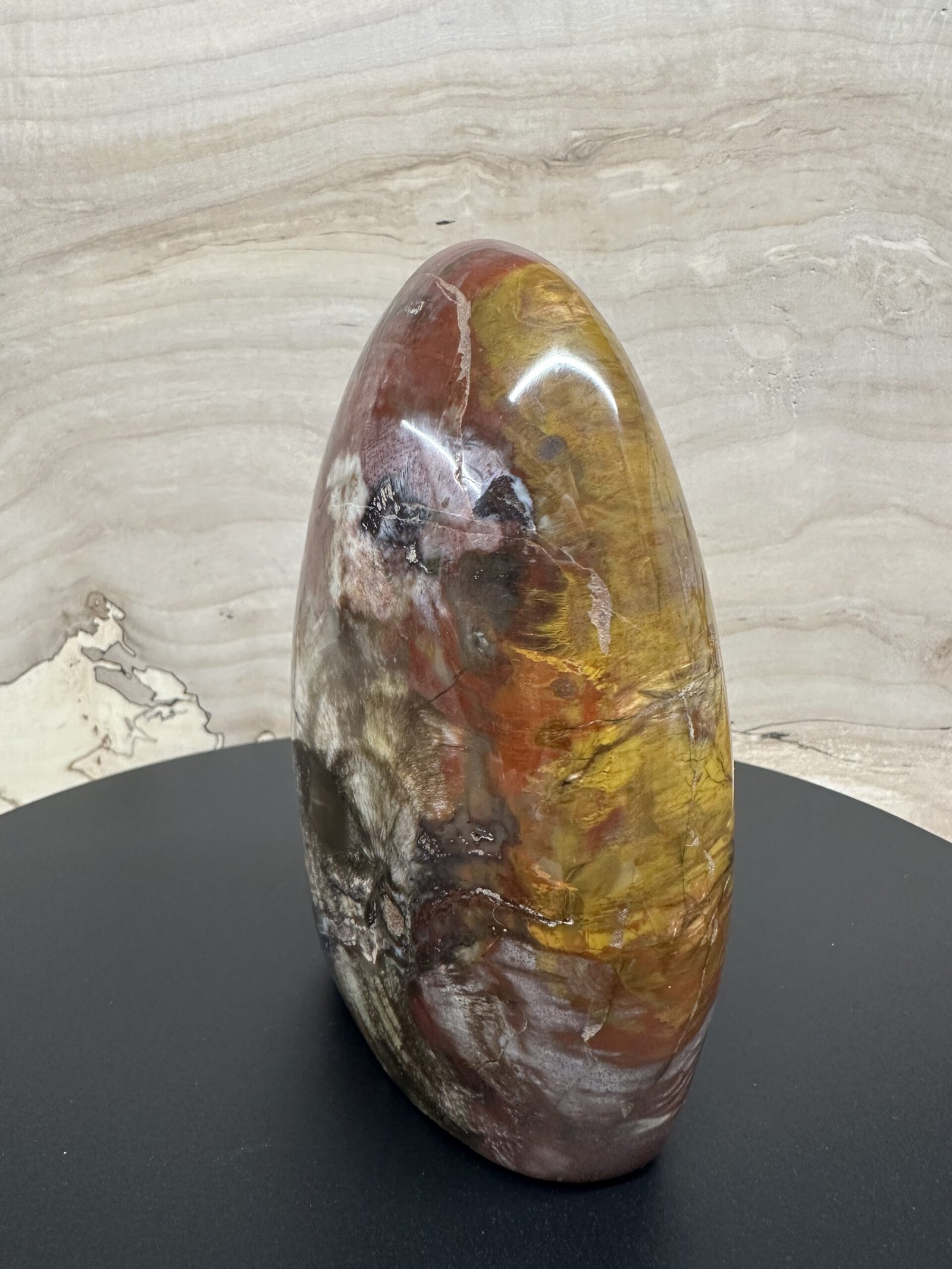Petrified Wood Freeform - Image 2
