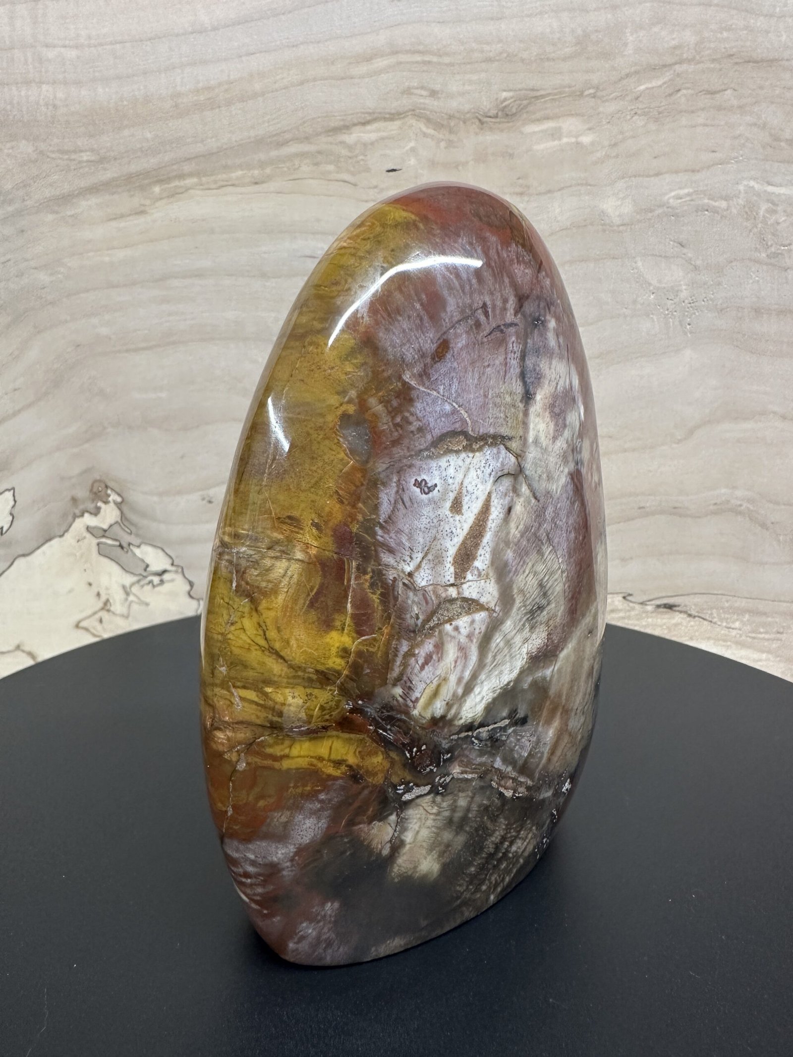 Petrified Wood Freeform - Image 4