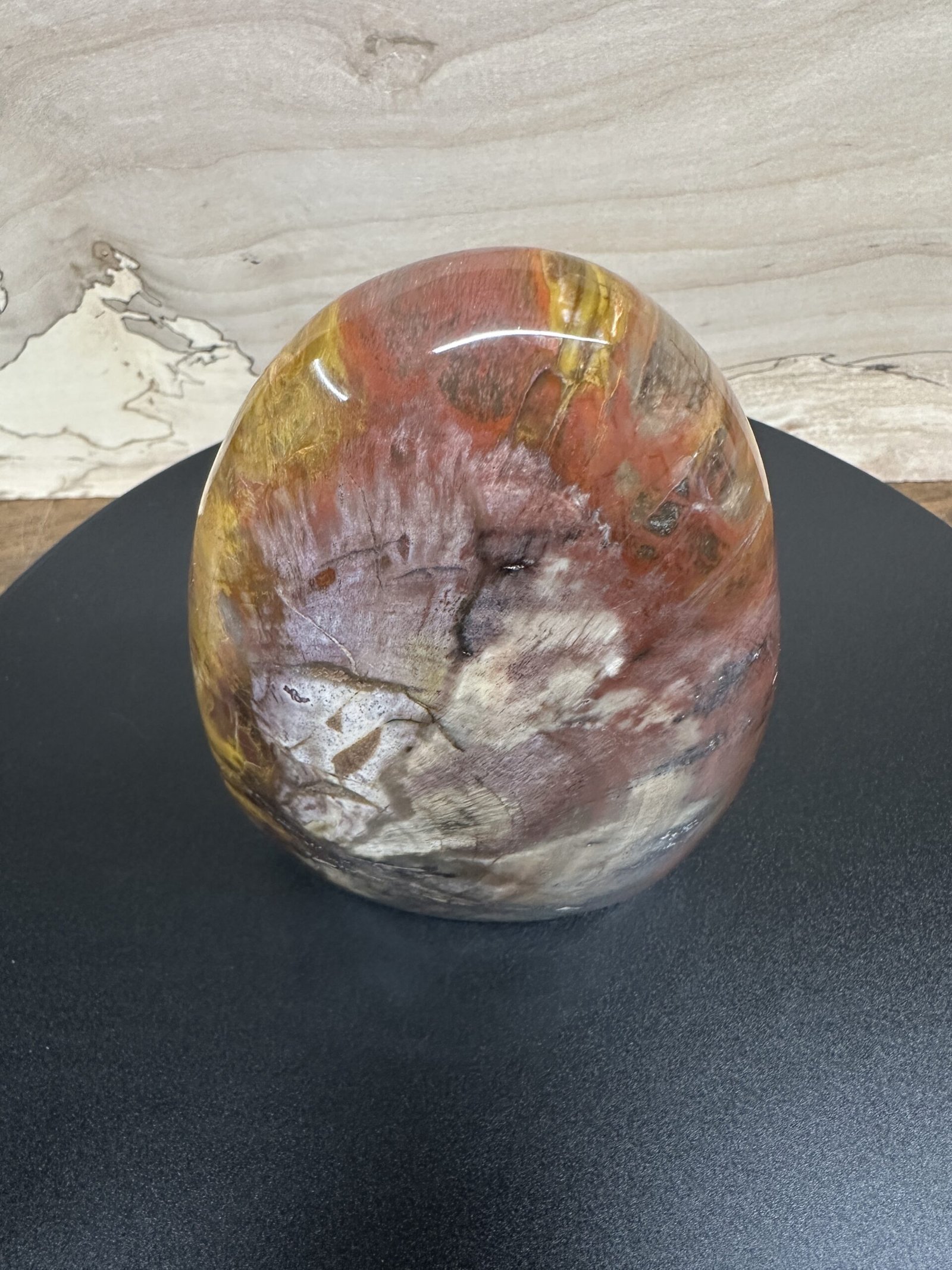 Petrified Wood Freeform - Image 3